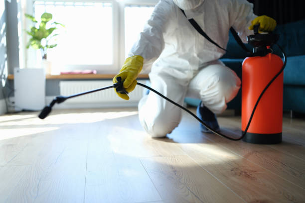 Trusted Sewage Cleanup service in Scott Air Force Base, IL - Four Month Blood Cleanse